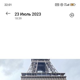 , 33, 
