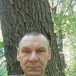 �����, 48 ���, �����