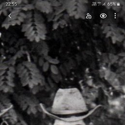 ���� ����, ������, 48 ��� - ��������� 17 ������ 2026