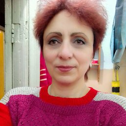 ���� �����, �����-���������, 56 ��� - ��������� 24 ������� 2023