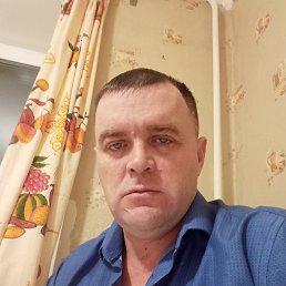 ���� �������, ������������, 43 ���� - ��������� 22 ����� 2026