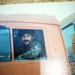 ��������, 62 ����, ���������