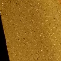 ����, ����, 41 ���