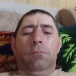 ����� ��������, ������, 44 ����