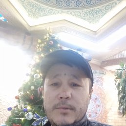 , 41, 