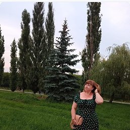 �������, ������, 54 ����