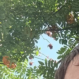 ����, ������������, 33 ����