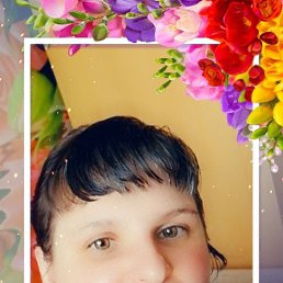 ���� �����, ������, 44 ���� - ��������� 12 ���� 2026