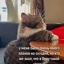 ���� Moonlight, �����, 63 ���� - ��������� 8 ������� 2024 � ������ ������ ��������