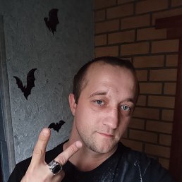 ����, 33 ����, ����