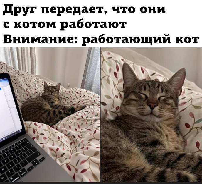 ��� ���� � ����� �� �� - 11 ���� 2026 � 11:25