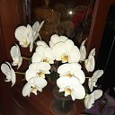 ���� �����, �����-���������, 61 ��� - ��������� 25 ������ 2025