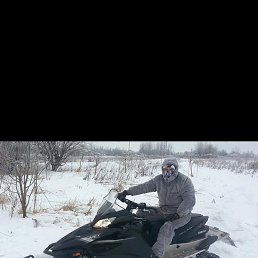 �����, �������, 41 ���