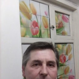 , 54, 