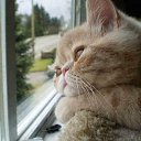 ���� �����, ������-��������� - ��������� 1 ������� 2023 � ������ ���� ����������