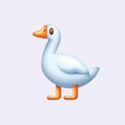 ����, 26 ���, ������