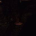 ���� �������, ���������, 46 ��� - ��������� 10 ���� 2025 � ������ ���� ����������