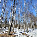 ���� ���, �������, 33 ���� - ��������� 30 ����� 2026 � ������ ������ ��������