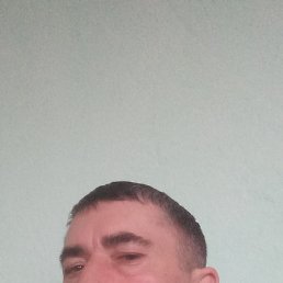 , , 41 