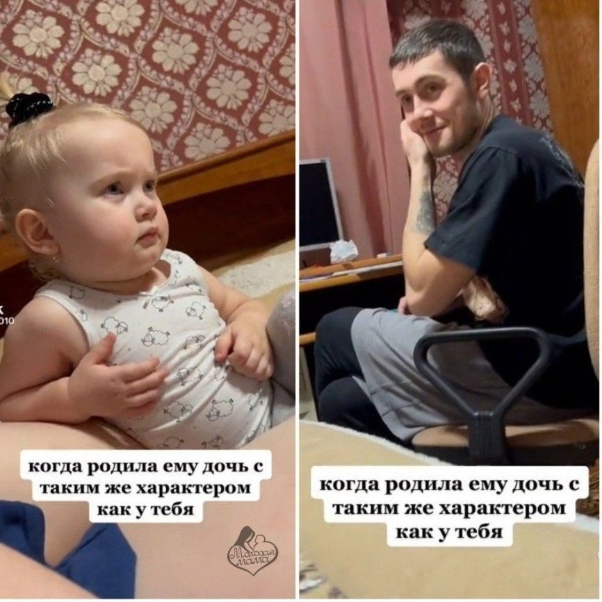���� ����� �������