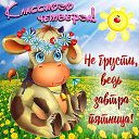 ���� ���������, ����������, 74 ���� - ��������� 14 ��� 2026 � ������ ������ ��������