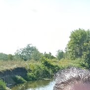 , 37 , 