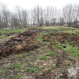 ���� �������, �����������, 66 ��� - ��������� 4 ������ 2026