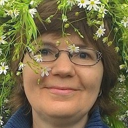 �����, ������