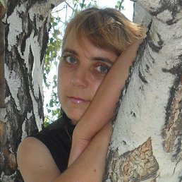 ����, �����������, 52 ����