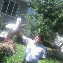 ���� �����, ���������, 41 ��� - ��������� 8 ����� 2024 � ������ ���� ����������