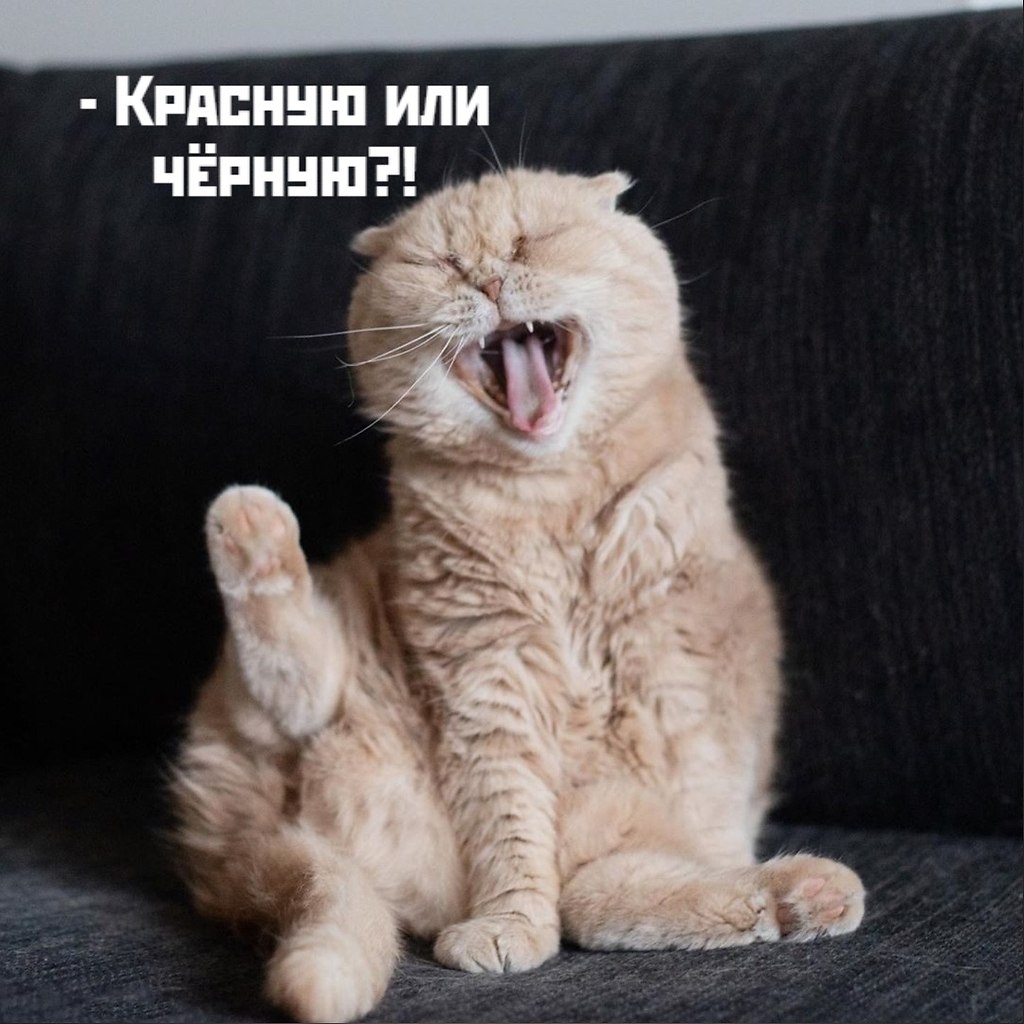 ��� ���� � ����� �� �� - 5 ������ 2026 � 17:25 - 3