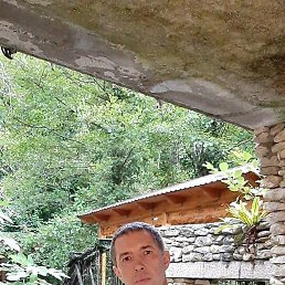 �������, ������, 49 ���