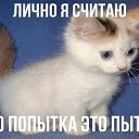  , -, 30  -  7  2025    