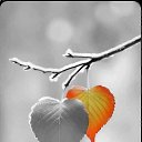 ���� *�����*, ����� - ��������� 22 ������ 2025 � ������ ������ ��������