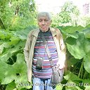   ., , 76  -  11  2025    