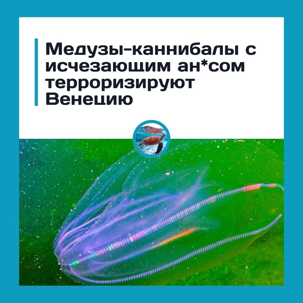 e����-�a����a�� c �c�e�a���� a�*co� �eppop���p��� e�e���.e�e��a�c��e �a�a�� �a�o�o���� �pe��e���� ...