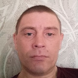 ����, �����-���������, 40 ���