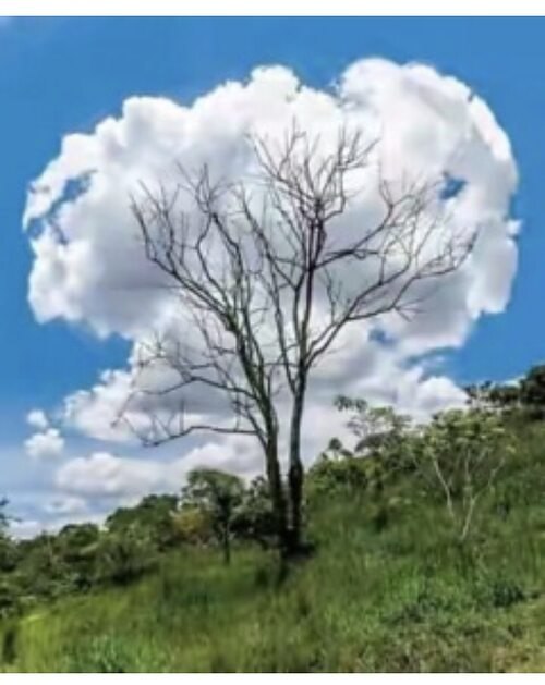  !
