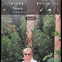 ���� �����, ���, 56 ��� - ��������� 2 ������� 2026