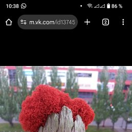 ���� �����, �������, 38 ��� - ��������� 19 ���� 2025