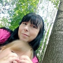 , 53, 
