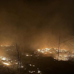 �����, ������, 44 ����