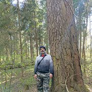 �����, 50 ���, ������������