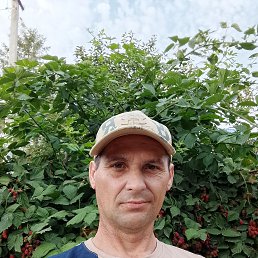 , 45 , 