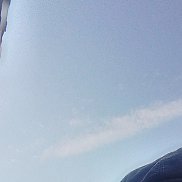 ����, 67 ���, ���������