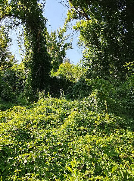 ���� ������� - 19 ���� 2026 � 17:30 - 4
