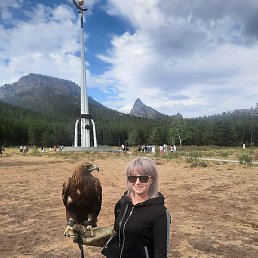 ���� ����-279, ��������, 50 ���