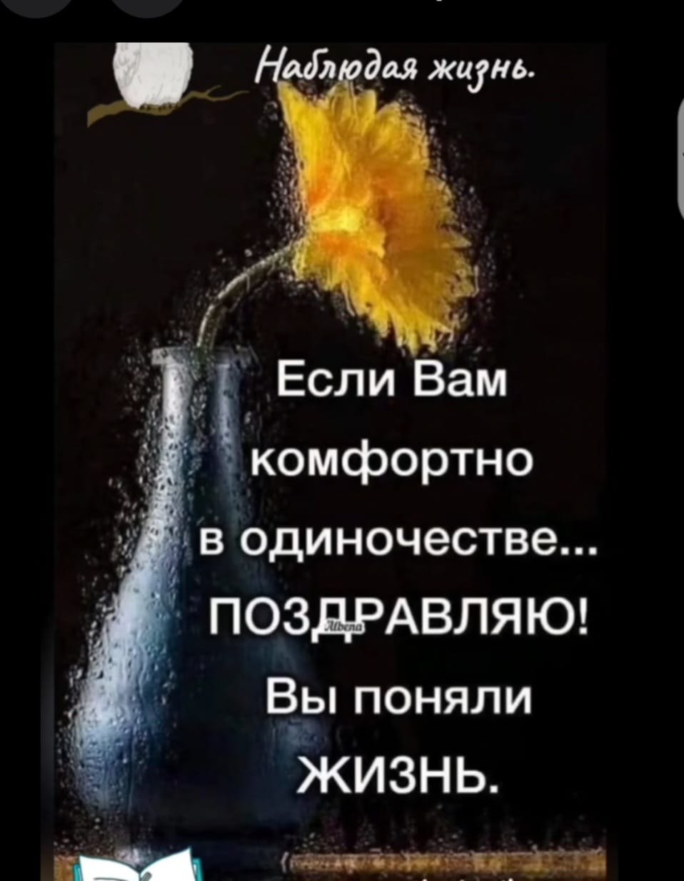 Nika - 14 ������� 2025 � 08:35