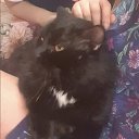 ���� �������, ������, 56 ��� - ��������� 5 ������� 2023 � ������ ���� ����������