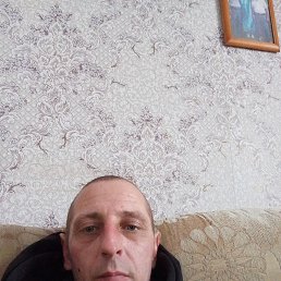 ����, 41 ���, ��������